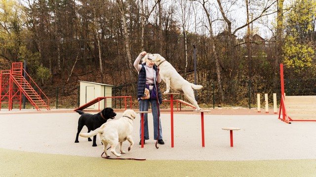 Фонд муниципального развития г. Калуги, декабрь 2025, г. Калуга 